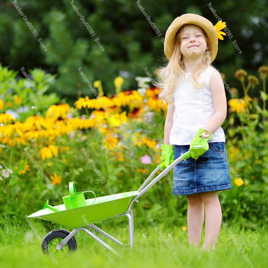Kids Outdoor Wheelbarrow, Gree - đánh giá và giá Kids Outdoor Garden